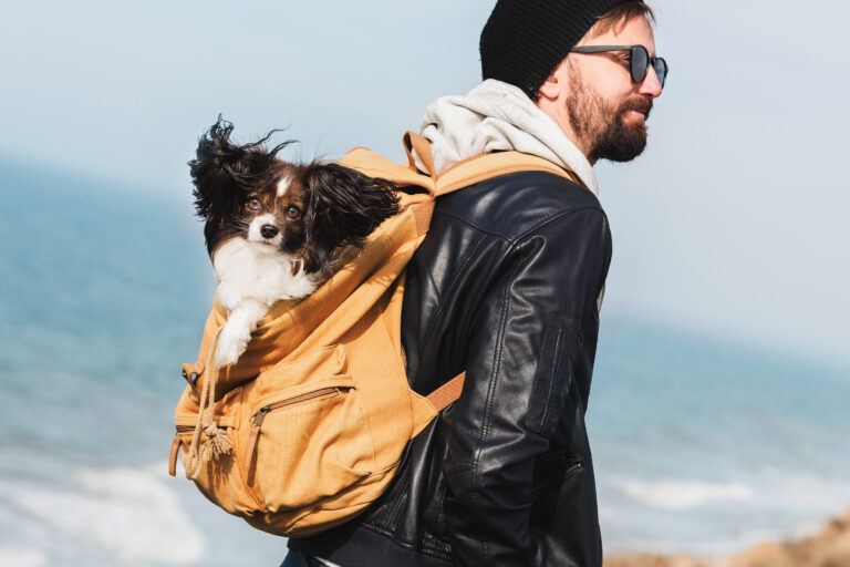 travel-hipster-man-with-dog-backpack